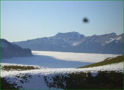 Rebstock 3* Meiringen