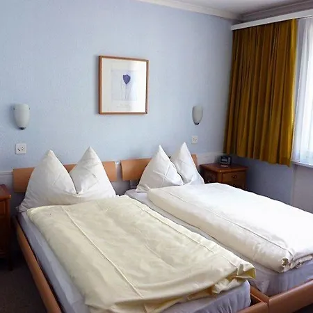 Mini-hôtel Rebstock 3*