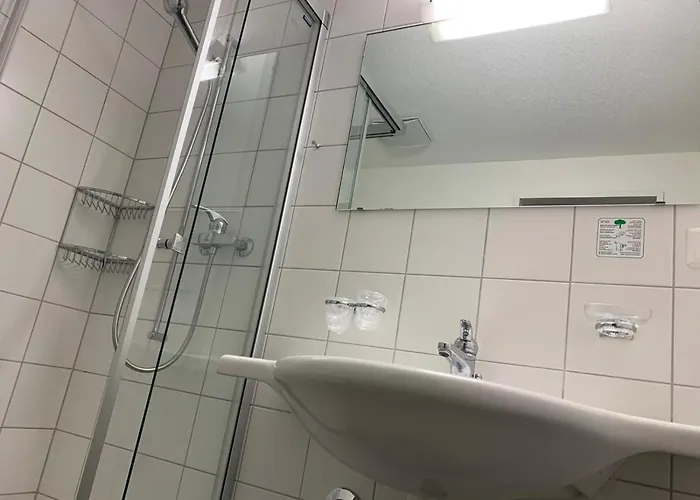 Rebstock 3* Meiringen