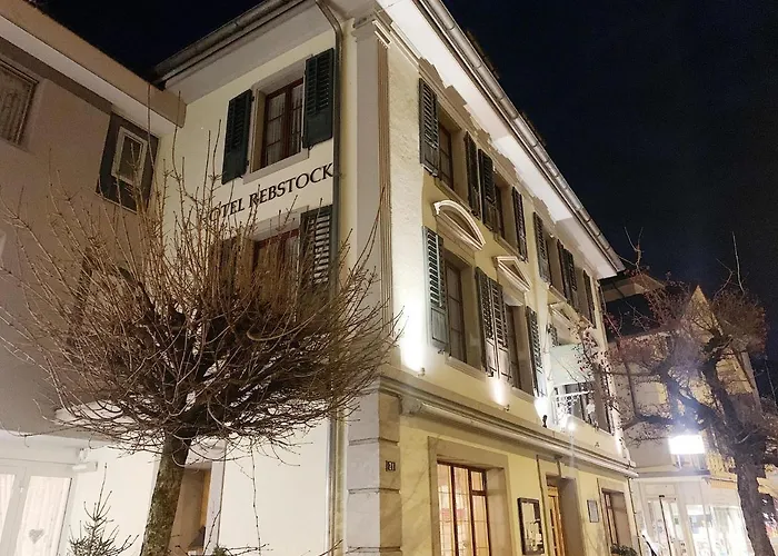 Rebstock 3* Meiringen